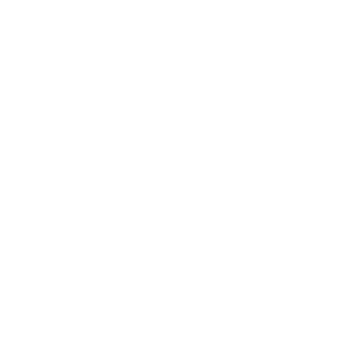 China BASE Festival