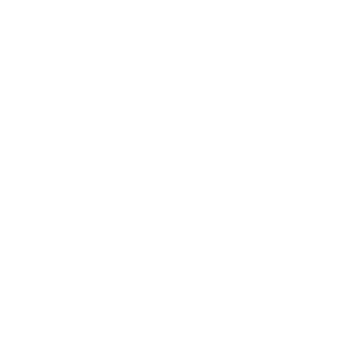 Rynox Gear